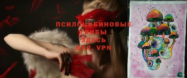 дживик Михайлов