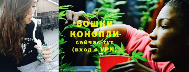 Марихуана OG Kush  как найти   Тырныауз 